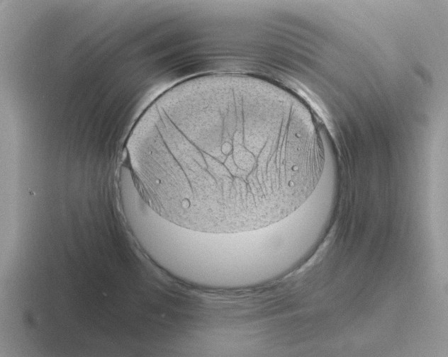 X0000116101481201001040942