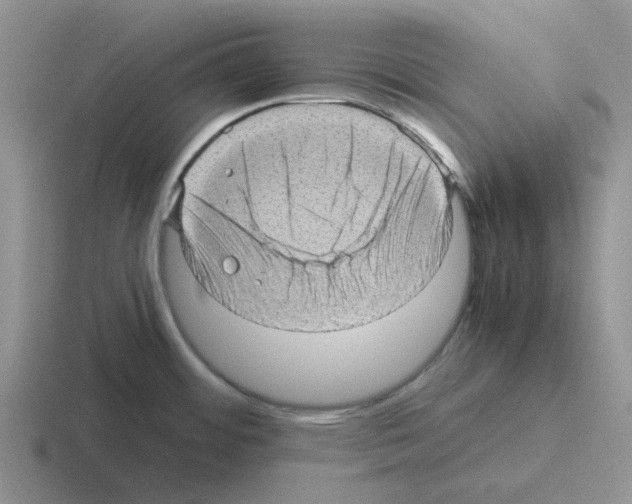 X0000116101484201001040942