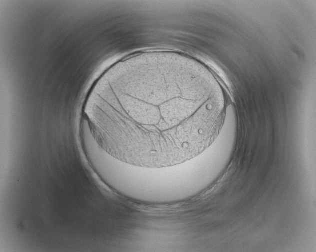 X0000116101485201001040942