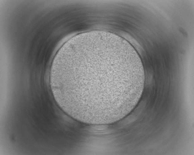 X0000116101486201001040942