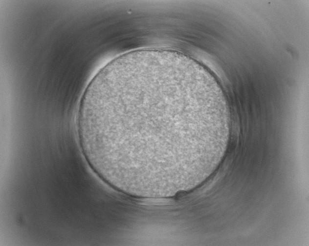 X0000116101487201001040942