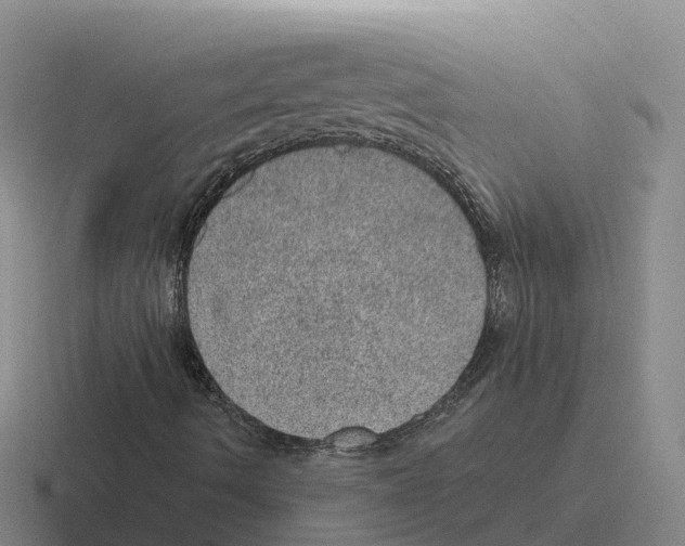 X0000116101490201001040941