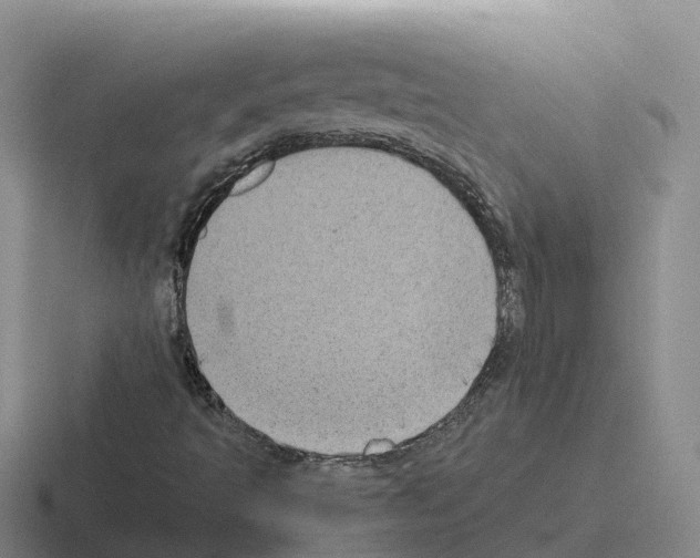 X0000116101493201001040941