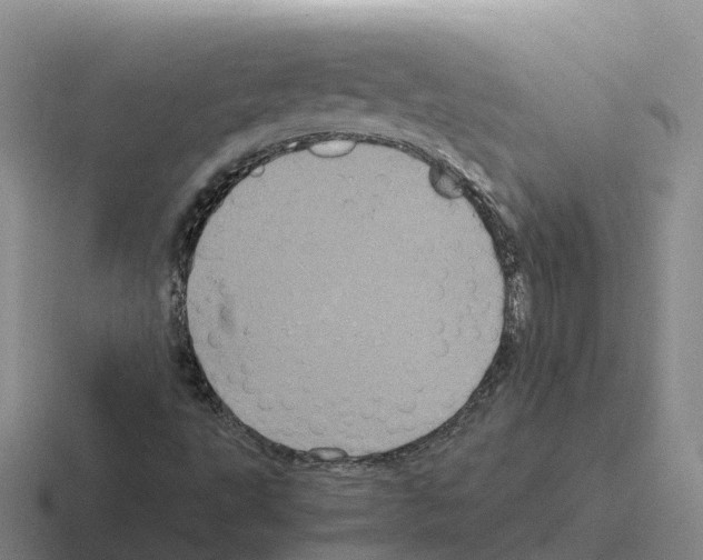 X0000116101495201001040941