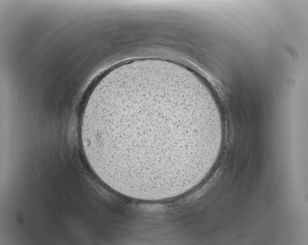 X0000116101498201001040941