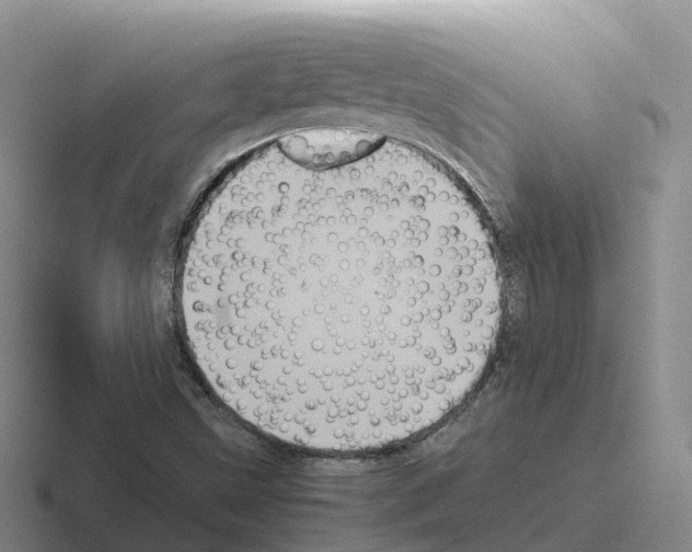 X0000116101499201001040941