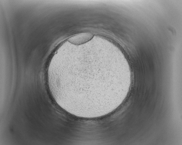 X0000116101501201001040941