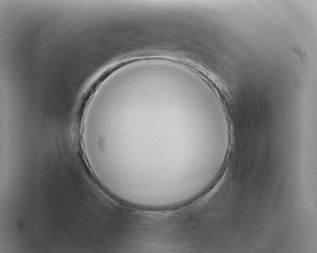 X0000116101502201001040941