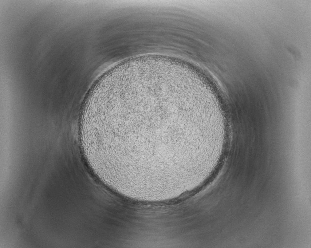 X0000116101505201001040942