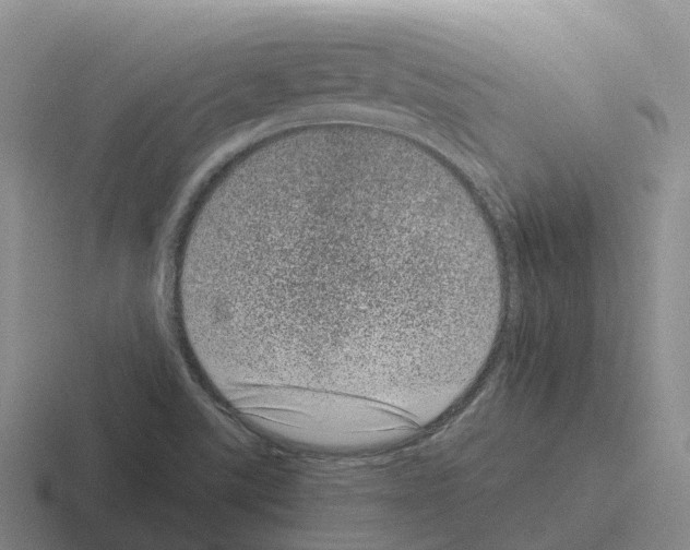 X0000116101507201001040942