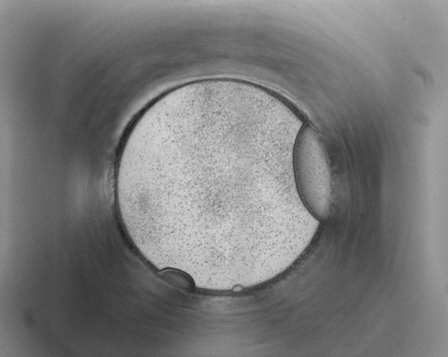 X0000116101510201001040942