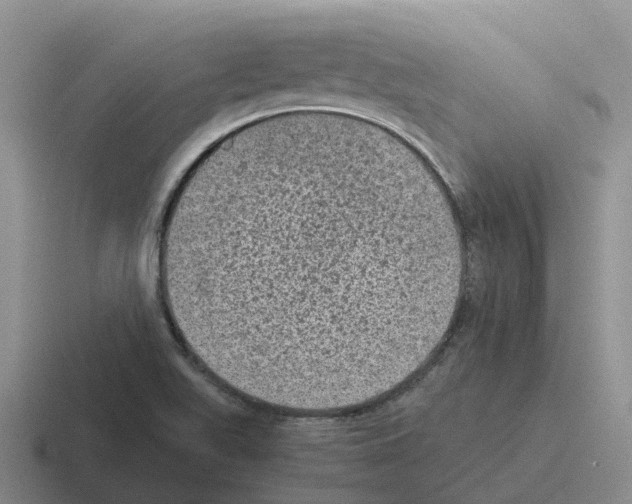 X0000116101511201001040942