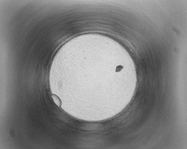 X0000116101513201001040942