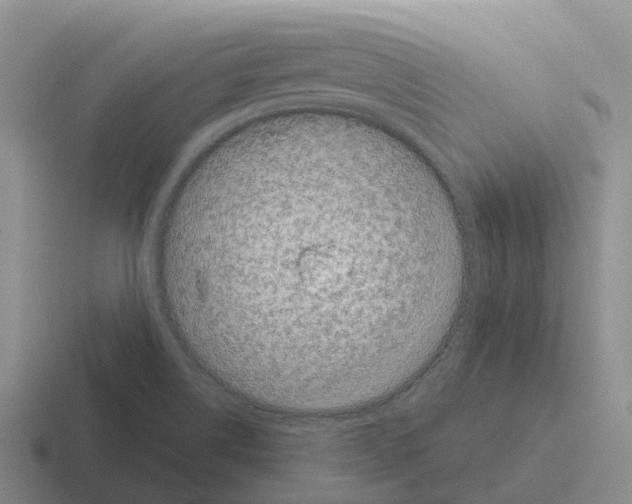 X0000116101514201001040942