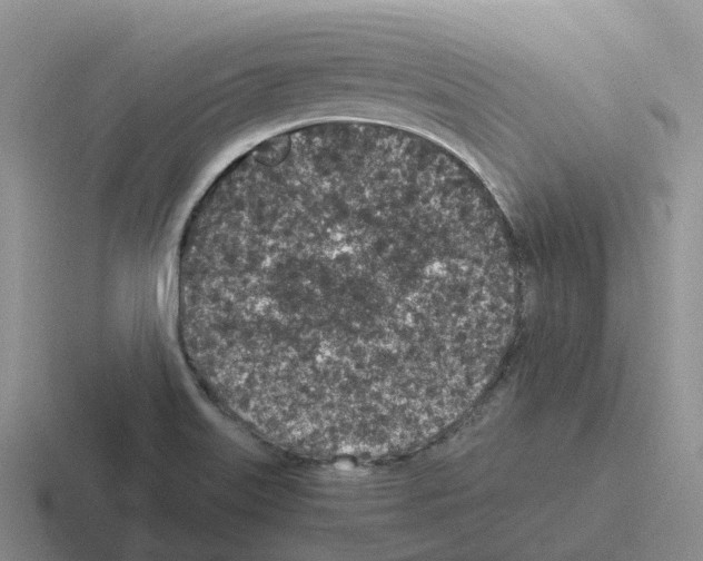 X0000116101515201001040942