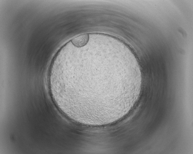 X0000116101517201001040942