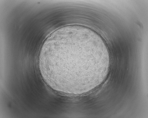 X0000116101521201001040942