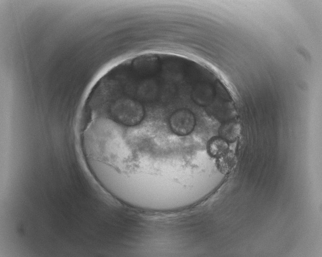 X0000116101522201001040942