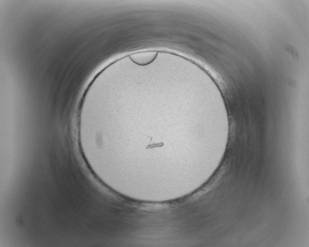 X0000116101526201001040942