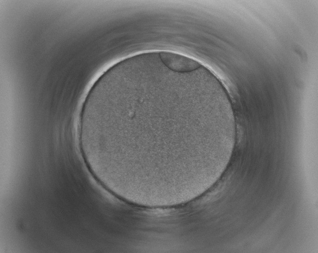 X0000116101527201001040942