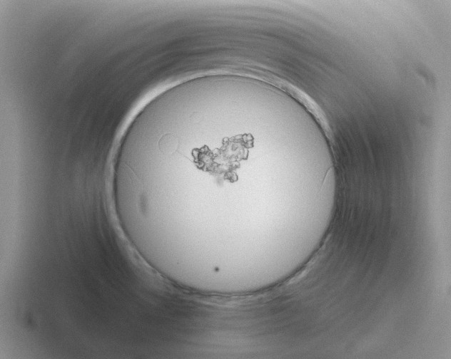 X0000116101530201001040942