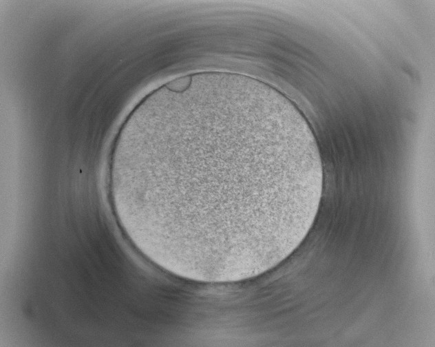 X0000116101531201001040942