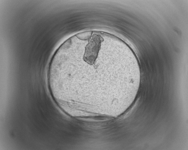 X0000116101533201001040942