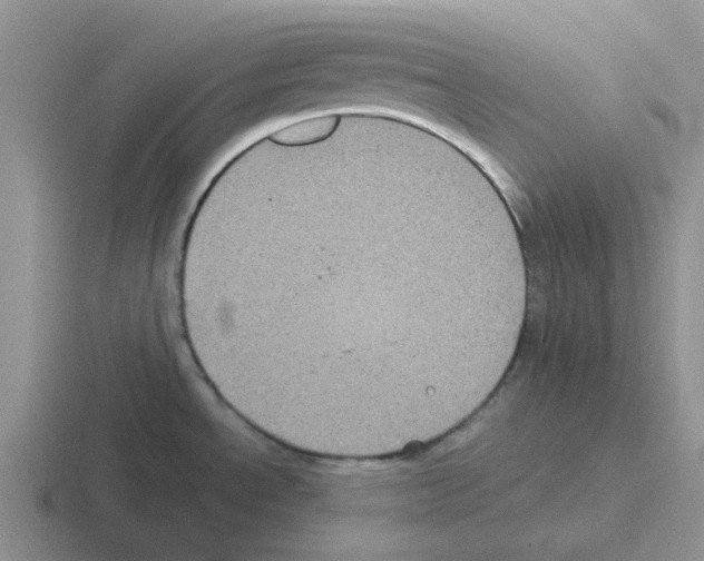 X0000116101534201001040942