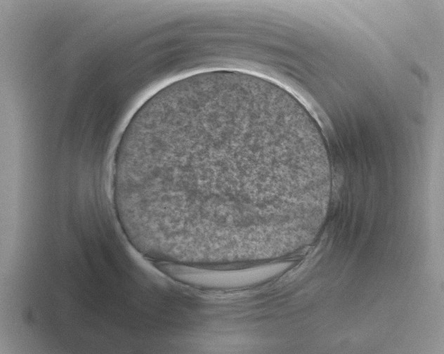 X0000116101535201001040942