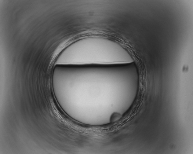 X0000116110004200911231006