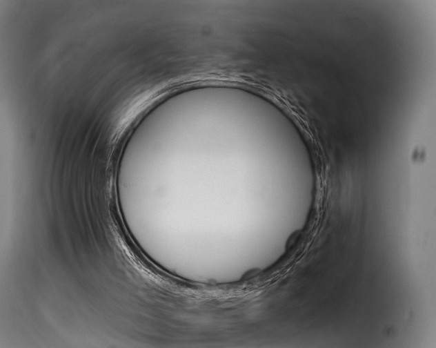 X0000116110005200911231006