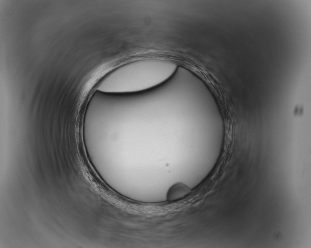 X0000116110006200911231006