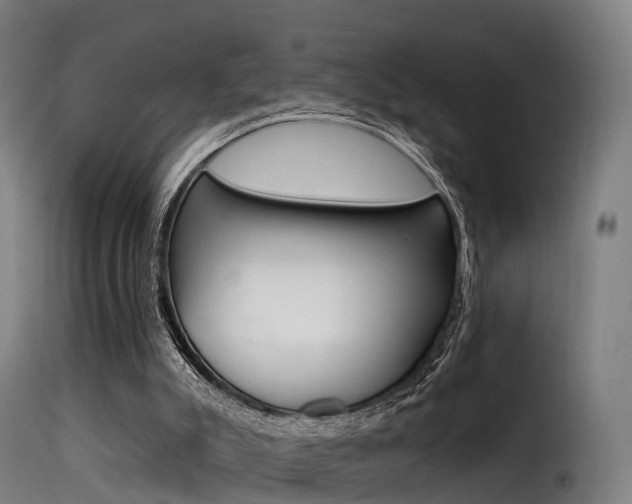 X0000116110007200911231006