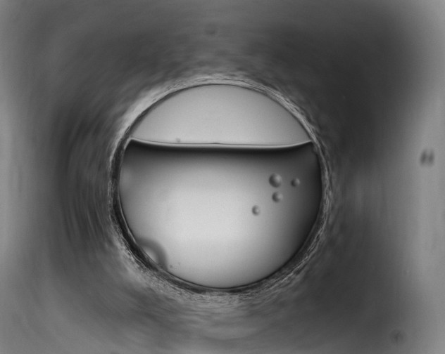 X0000116110008200911231006