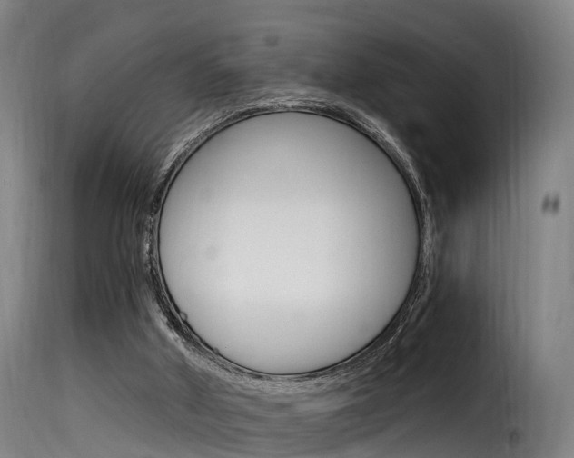 X0000116110010200911231006