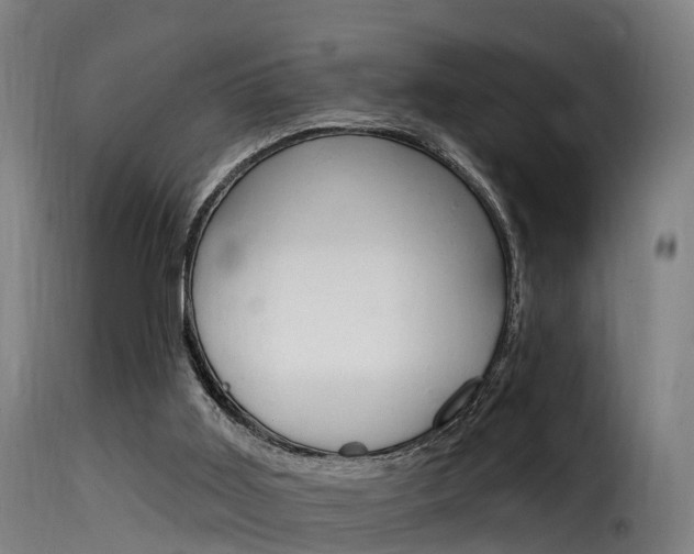 X0000116110011200911231005
