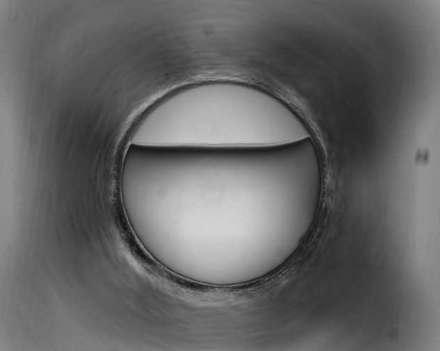 X0000116110012200911231005