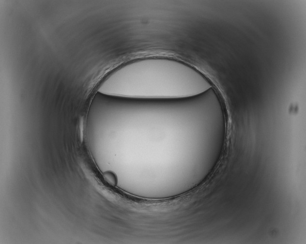 X0000116110013200911231005