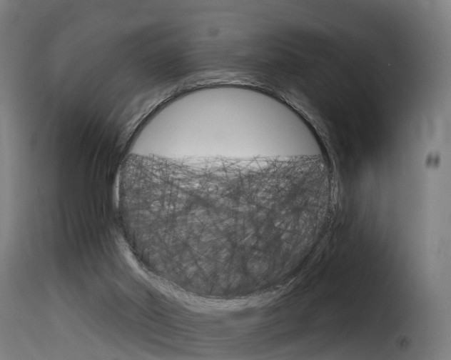 X0000116110014200911231005