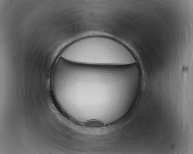 X0000116110015200911231005