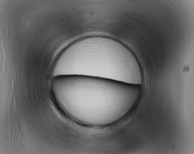 X0000116110016200911231005