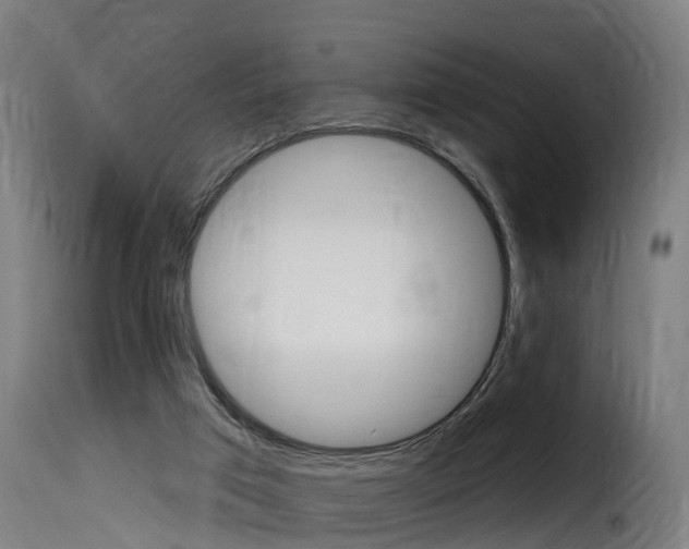 X0000116110017200911231005