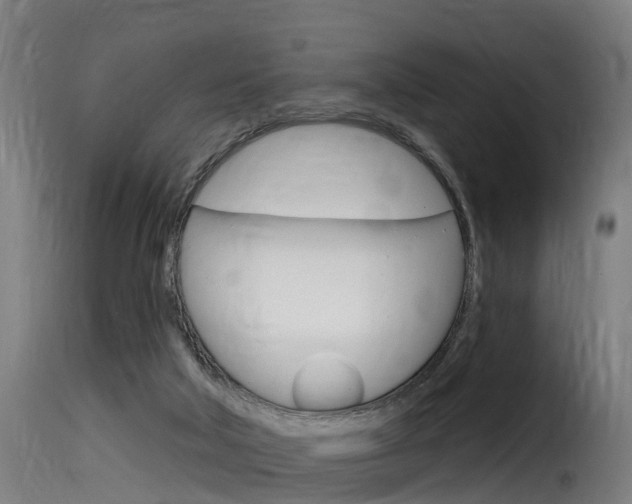 X0000116110018200911231005