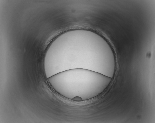 X0000116110019200911231005
