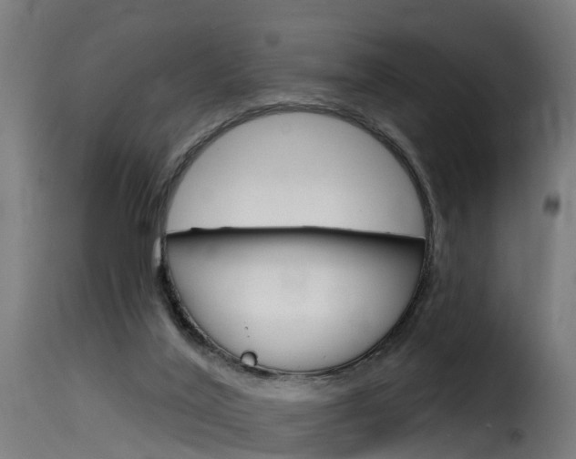 X0000116110020200911231005