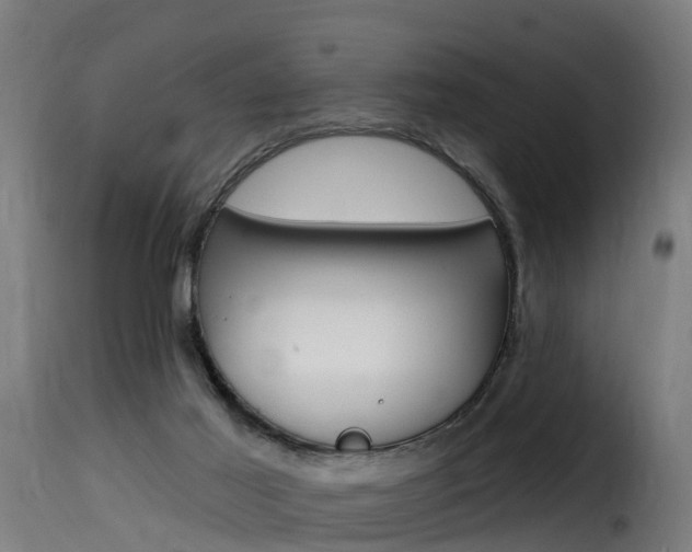 X0000116110021200911231005