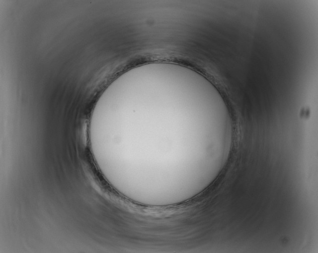 X0000116110022200911231005
