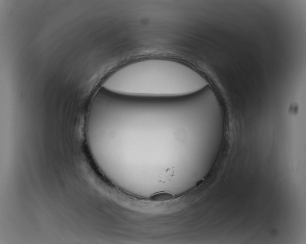 X0000116110023200911231005