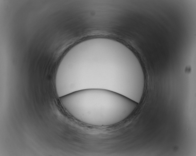 X0000116110024200911231005