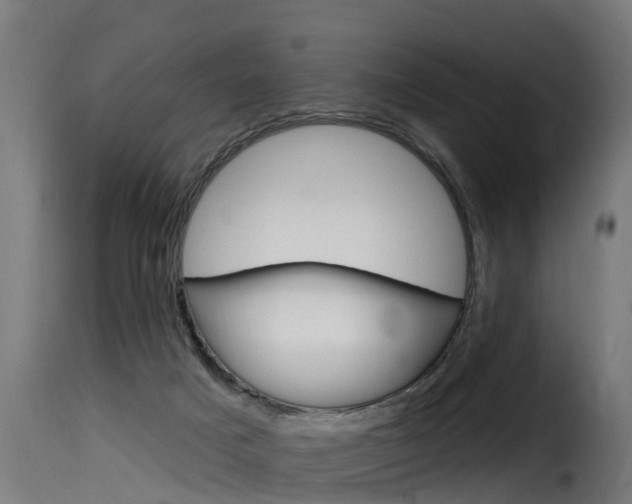 X0000116110025200911231005